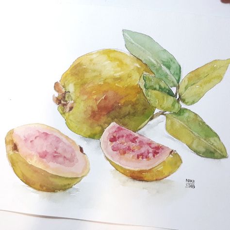 Guava Tree Drawing, Guava Watercolor, Guava Tattoo, Guava Illustration, Guava Drawing, Juice Bar Design, Gouache Tutorial, Guava Tree, Strawberry Watercolor