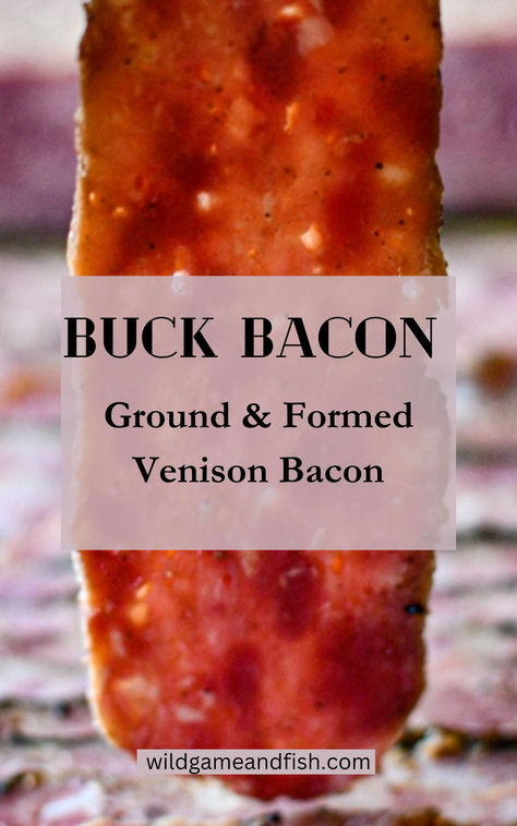 Deer Bacon Recipe Venison Bacon Burger Recipes, Venison Smoker Recipes, Venison Leg Roast Recipes, Deer Camp Recipes, Venison Processing Recipes, Venison Ham Recipes, Deer Loin Recipes In Oven, Best Deer Meat Recipes, Venison Sirloin Recipes