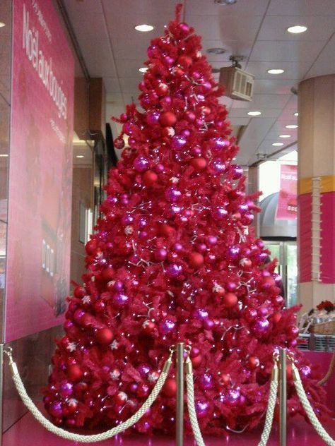 Dark pink Christmas tree Pink Xmas, Pink Christmas Decorations, Red Christmas Tree, Pink Trees, Pink Christmas Tree, Beautiful Christmas Trees, Noel Christmas, Christmas Love, Christmas Joy