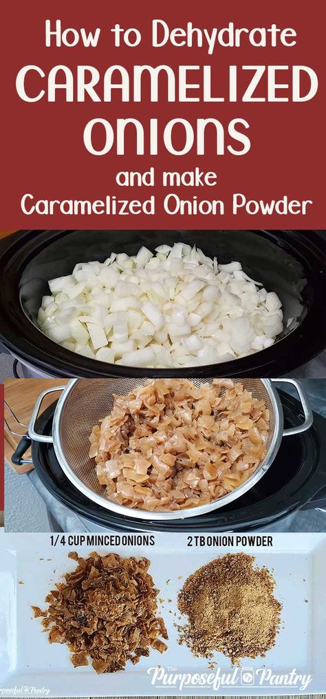 Love French's Onions on your green bean casserole? DIY a dehydrated caramelized onion that tastes SO much like it, and is SO much healthier! The step-by-step is easy, and the benefit of the powder you can make from it is amazing!!! Caramelized Onion Pizza, Pizza Vegana, Caramelized Onion Dip, Cooking Onions, Carmelized Onions, Onion Soup Recipes, Sour Foods, Minimalist Baker, Vegetable Side