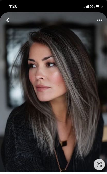 Hiding In The Shadows, Gray Blending, Natural Dark Hair, Ideas For Dark Hair, Natural Brown Hair, Gray Balayage, Bob Hair Color, Silver Highlights, Black Hair With Highlights