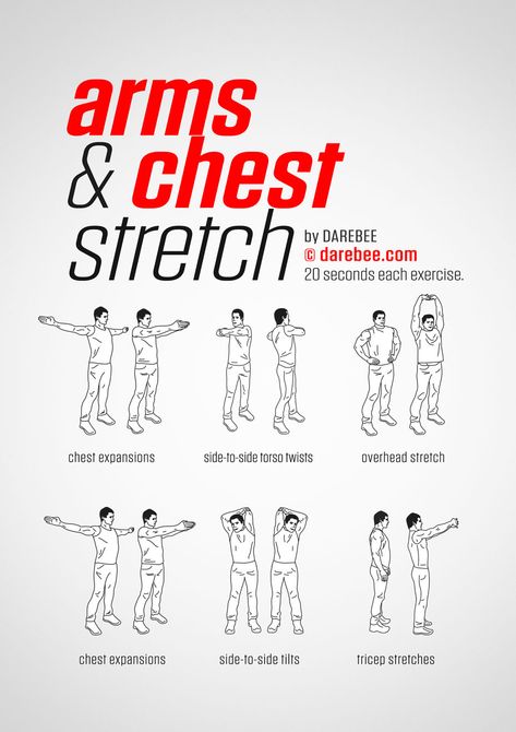 Pre Workout Stretches, Tricep Stretch, Stretches Before Workout, Metaphysical Spirituality, Lose Arm Fat, Low Impact Cardio, Body Stretches, Lower Back Exercises, Stretching Exercises