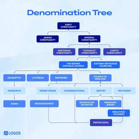 The Definitive Guide to Christian Denominations Christian Abbreviations, Christian Infographic, Denominations Of Christianity, Christian Denominations Chart, Deconstruction Christianity, Deuterocanonical Books, Christian Apologetics Books, Book Of Common Prayer, Orthodox Catholic