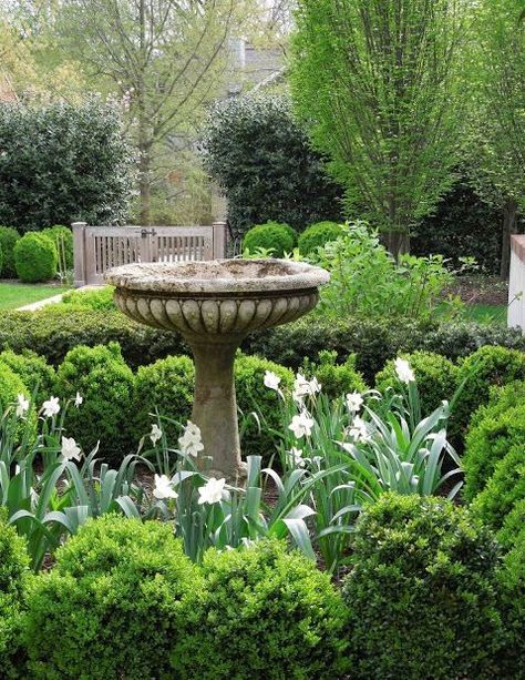 Shed Inspiration, Brown Mustard, Formal Garden, Backyard Gardening, Have Inspiration, Bird Baths, Formal Gardens, Outdoor Stuff, White Garden