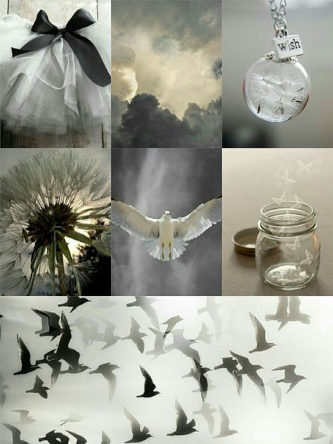 Collage by Renée Bird Mood Board, Love Collage, Color Collage, Nature Color Palette, Photo Grouping, Color Harmony, Foto Art, Mood Board Design, Black And White Aesthetic