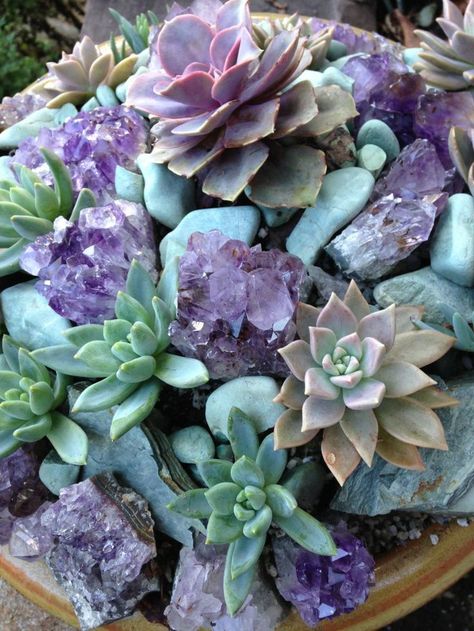 The Energetic Super-Duo Of Crystals & Plants Container Garden Design, Crystal Garden, Succulent Gardening, Have Inspiration, Diy Crystals, Kew Gardens, Cactus Y Suculentas, Cactus And Succulents, Purple And Green