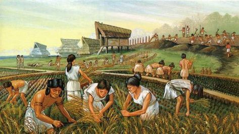 Ancient farmers. (Heritage of Japan) Yayoi Era, Yayoi Period, Neolithic Revolution, Agricultural Revolution, Historia Universal, Human Society, Ancient Origins, Mesopotamia, Bronze Age