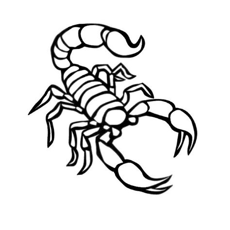 Easy Scorpion Drawing, Scorpio Drawing, Simple Scorpion Tattoo Outline, Simple Scorpion Drawing, Drawing Of A Scorpion, Scorpion Drawing, Cartoon Scorpion, Scorpion Line Art, Scorpion Sketch Tattoo