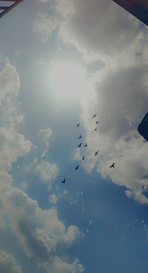 Birds In The Sky, Sky Photography Nature, Dream Photography, Blue Sky Background, Profile Pictures Instagram, Emotional Photography, Aesthetic Photography Nature, Beautiful Nature Wallpaper, Cool Pictures Of Nature