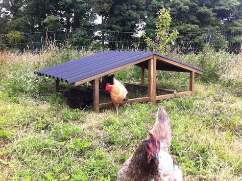 The Large Hen Shelter - Sun and rain protection for your poultry Chicken Shelter, Cute Chicken Coops, Chicken Barn, Shelter Design, Being Outside, Backyard Poultry, Chicken Chick, Chicken Garden, Sun And Rain