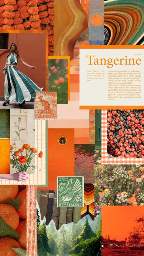 White Green Yellow Orange Color Palette, Green And Orange Instagram Feed, Green And Orange Decorations, Dark Orange And Green Aesthetic, Dark Green And Orange Aesthetic, Tangerine Color Palette, Green Orange Decor, Green And Orange Palette, Green And Orange Aesthetic