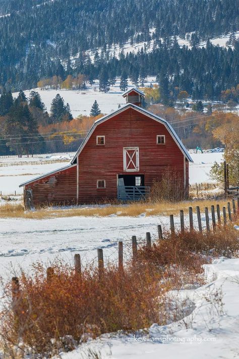 Montana Photography, Farm Scenery, Cows Mooing, Big Red Barn, Pure Country, American Barn, Barn Pictures, Country Barns, Art Studio Design