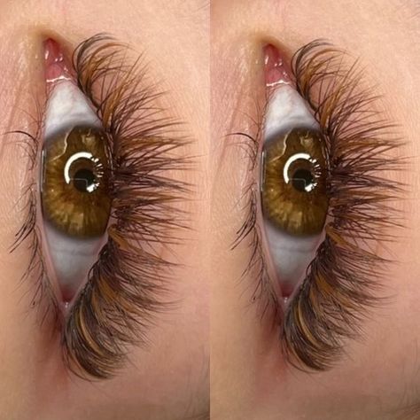 Brown And Black Lash Extensions Mixed, Brown Black Lash Extensions, Brown Eyelash Extensions Lashes, Black And Brown Lash Extensions, Brown And Black Lash Extensions, Brown Hybrid Lash Extensions, Brown Classic Lash Extensions, Brown Eyelashes Extensions, Orange Lash Extensions