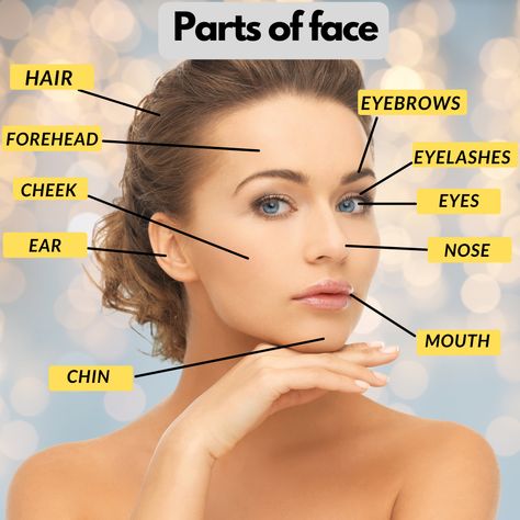 Face Vocabulary, English Tips, Learn English Words, Face Hair, English Words, Learn English, Vocabulary, Eyebrows, The Face