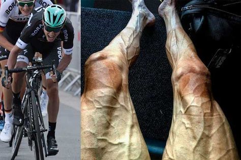 'My legs look tired': Tour de France rider Pawel Poljanski posts photo of veined limbs - Cycling Weekly Cycling Muscles, Cycling Legs, Good Burns, Leg Training, Leg Press, Cycling Art, Leg Muscles, Pro Cycling, Core Muscles