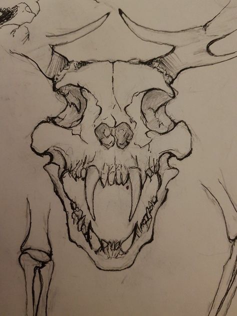 Animal Skull Drawing, Skull Sketch, Scary Drawings, Dragon Skull, Beautiful Tattoo, Work Online, Next Tattoo, Cat Air, Skull Drawing