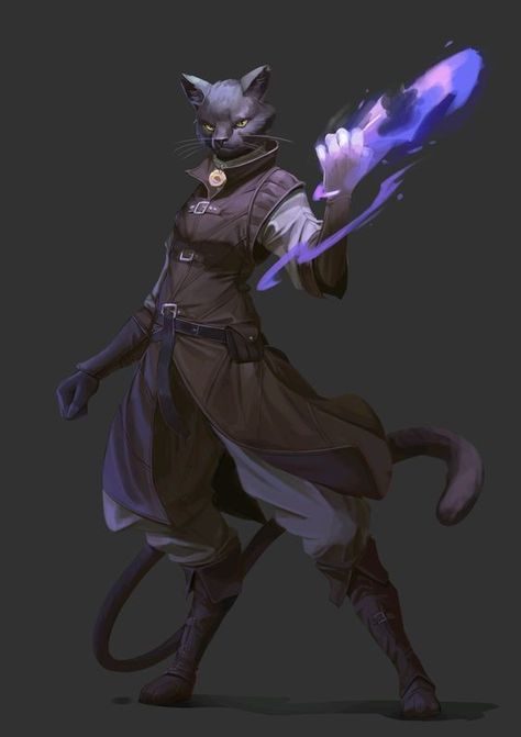 Tabaxi Sorcerer, Dnd Races, Heroic Fantasy, Fantasy Races, Dungeons And Dragons Characters, Cat Character, Dnd Art, Skyfall, Fantasy Rpg