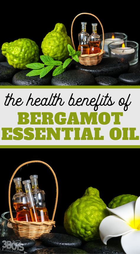 Bergamot Oil Benefits, Wild Bergamot Uses, Uses For Bergamot Essential Oil, Bergamot Uses, Bergamot Benefits, Bergamot Essential Oil Benefits, Bergamot Essential Oil Uses, Benefits Of Bergamot Essential Oil, Library Gifts