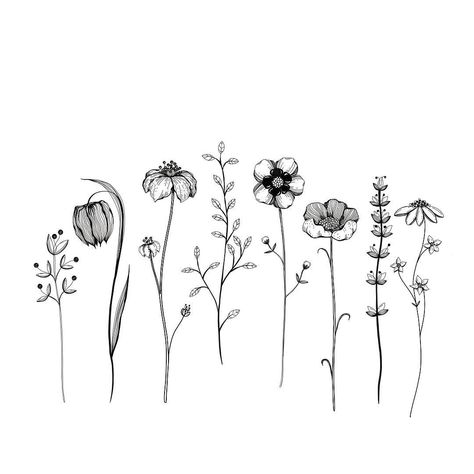 Alice on Instagram: “▫️Random flowers ▫️ . Doodling some flowers...as always 🖤 . . . . . Finally I fixed my problems with Instagram! . #arrangement…” Poppyseed Tattoo, Hanging Flower Drawing, Alice Loves Drawing, Random Flowers, Daisy Drawing, Wildflower Drawing, Lavender Tattoo, Botanical Line Drawing, Doodle Art Flowers