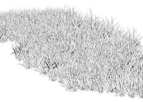 Grass Sketch, Descriptive Geometry, Winter Overlays, Collage Material, Texture Drawing, Architectural Presentation, Line Texture, Architecture Design Concept, Urban Architecture