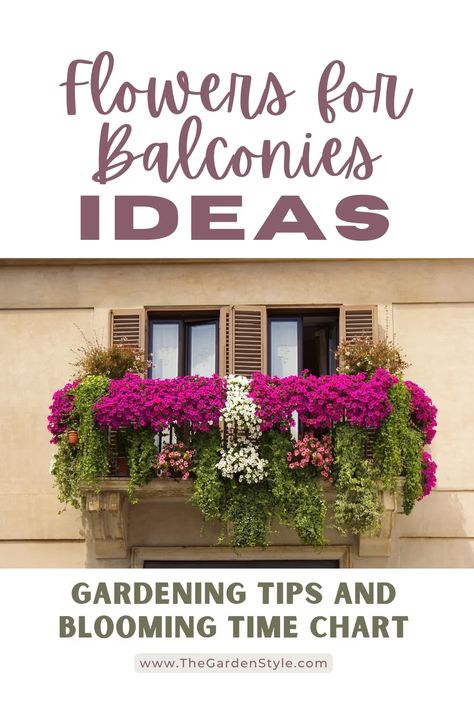 20 Beautiful Flowers Perfect for Your Balcony Garden - The Garden Style Window Flower Boxes, Balcony Oasis, Impatiens Plant, Lantana Plant, Balcony Flower Box, Plant Window, Small Balcony Garden, Balcony Flowers, Window Box Flowers