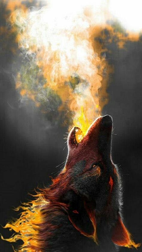 Epic fire wolf Lup Singuratic, Wolf Wallpaper, Wolf Love, Wolf Pictures, Wolf Spirit, Beautiful Wolves, Wolf Howling, Lone Wolf, A Wolf