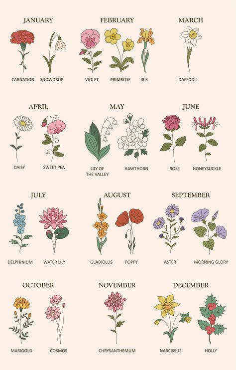 Flowers For Every Month, Flower Of Birth Month, Flower For July Birth, Flower For Months, Flowers Of Months, Flower Of Month Births, Flower Months Birthday, Flowers By Month Birthday, July Flower Birth Month