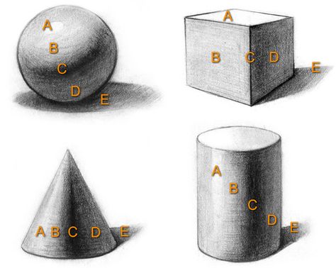 Core Shadow, Cast Shadow, Classe D'art, Reflected Light, Drawing Hair, Elements And Principles, Value In Art, Art Worksheets, Principles Of Art