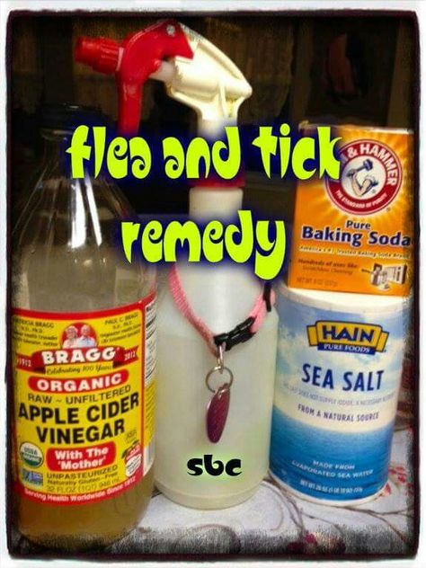 8oz apple cider vinegar, 4oz of warm water. 1/2 tsp of baking soda and 1/2 tsp of sea salt. Combine in spray bottle. (Do not use the sprayer until salt and baking soda are dissolved) Homemade Flea Spray, Apple Cider Vinegar Remedies, Flea Remedies, Pet Remedies, Flea And Tick Spray, Tick Spray, Tick Removal, Flea Spray, Dog Remedies