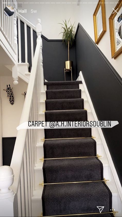 Black Hallway Stairs, Black Panelling Stairs, Dark Colour Hallway Ideas, Black And Grey Stairs, Black Hall Stairs And Landing, Hallway Panelling Black, Black Stair Panelling, Black Stairs Hallway, Dark Stairway Ideas