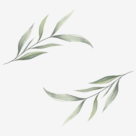 Olive Branch Tattoo, Branch Tattoo, Logo Composition, Wedding Logo Design, Leaf Clipart, Elegant Watercolor, Leaves Vector, Cat Air, Hand Logo