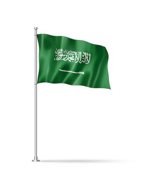 Saudi arabia flag isolated on white | Premium Photo #Freepik #photo #green-flag #flag-pole #3d-flag #saudi-flag Saudi Flag, Saudi Arabia Flag, Green Flag, Cake Logo Design, Cake Logo, New Background Images, Doodle On Photo, Logo Gallery, Photo Collage Template