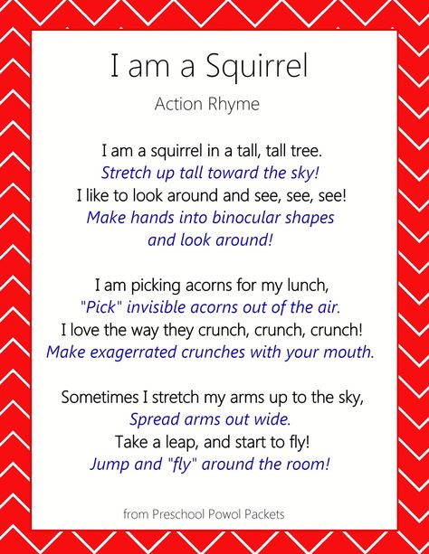 Squirrel action rhyme for kids!! Perfect for preschool, toddlers, and kindergarten! Preschool Poems, Circle Time Songs, Kindergarten Songs, Classroom Songs, Songs For Toddlers, Fall Songs, Fall Preschool Activities, School Songs, Preschool Music