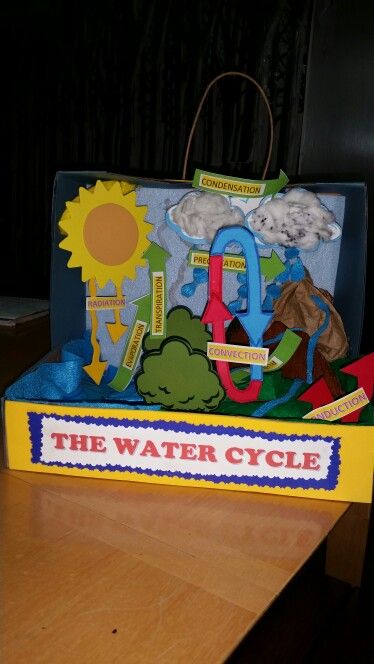 The water cycle 3 D project by Bianca A . Rivas Water Cycle Model, Water Cycle Poster, Water Cycle Project, Hydrological Cycle, Early Years Teaching, Water Cycle Worksheet, Preschool Craft Activities, School Science Projects, Science Models