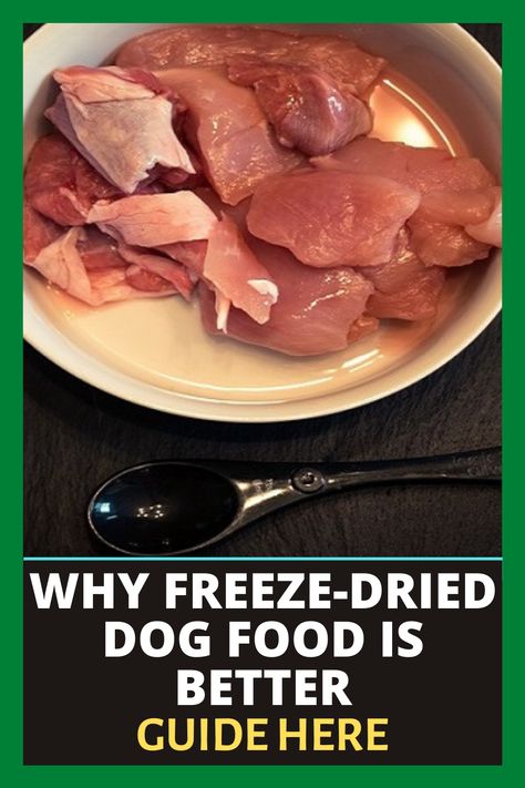 Freeze Dry Dog Food, Freeze Dried Raw Dog Food, Freeze Dried Dog Treats Diy, Diy Dehydrated Dog Food, Freeze Dried Dog Food Recipe, Freeze Dried Dog Treats Recipes, Dry Dog Food Recipes, Puppy Breeding, Freeze Drier