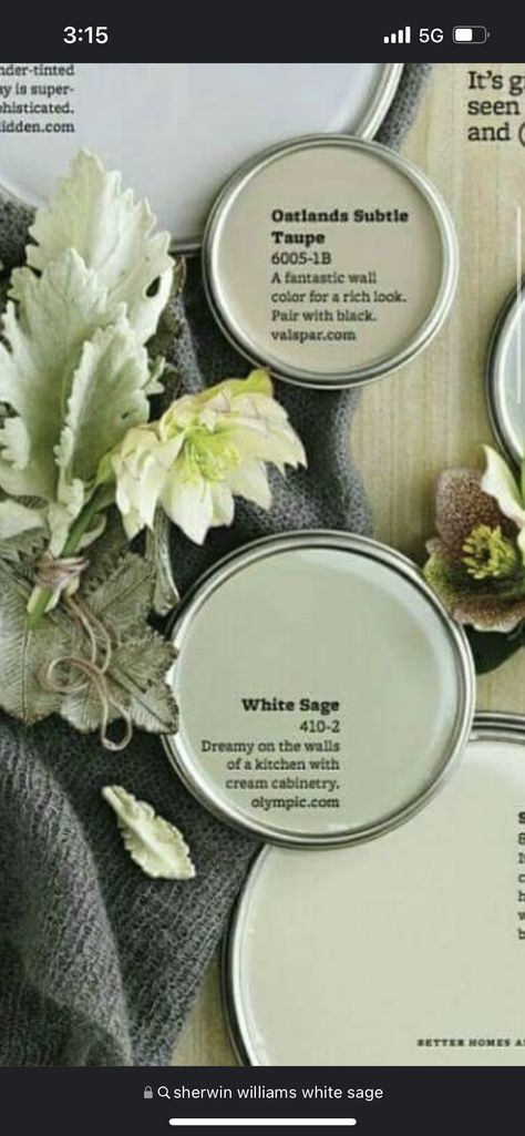 Sage Paint Color Sherwin Williams, White Sage Paint Color Sherwin Williams, White Sage Paint, White Sage Paint Color, Sage Sherwin Williams, Sage Paint Color, Sage Paint, Sherwin Williams White, Sherwin Williams Paint Colors