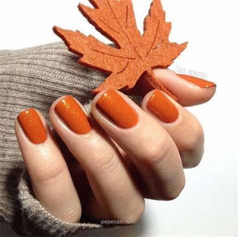 fall nail colors,best fall colors for nails,nail art design,2019 fall nails trend Ongles Beiges, New Nail Colors, Orange Nail, Thanksgiving Nail Art, Color For Nails, Nail Color Trends, Fall Nail Art Designs, Pumpkin Nails, Thanksgiving Nails