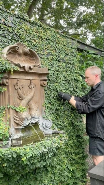 harolds_finishing_touches on Instagram: "• { T R I M } The Creeping Fig & Espalier Pears were due for a trim In the Potager garden so spent the afternoon in the garden with a coffee and the cat. My constant garden companion. 📷 Taken @ #haroldsHOME" Fig Espalier, Harolds Finishing Touches, Creeping Fig, Potager Garden, Water Feature, Garden Shed, Backyard Ideas, Yard Landscaping, Hedges