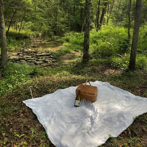 Picnic In The Woods Romantic, Forest Picnic Aesthetic, Picnic In Woods, Woodsy Picnic, Picnic In The Woods Aesthetic, Nature Picnic Aesthetic, Date In The Woods, Picnic In Woods Aesthetic, Picnic At Hanging Rock Aesthetic