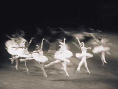 bolshoi Black Swan 2010, Swan Lake Ballet, Ballet Beauty, A Night At The Opera, Swan Princess, Fotografi Vintage, Ballet Photography, White Swan, Swan Lake