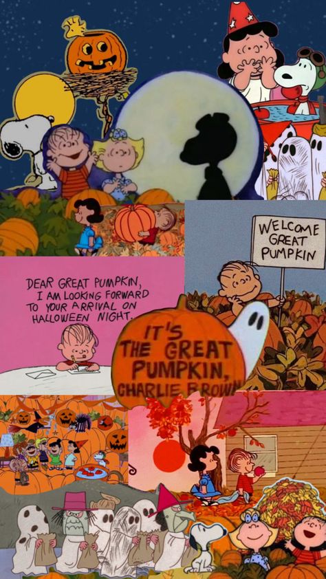 Neat Wallpapers, Pleasing Wallpapers, Peanuts Wallpaper, It's The Great Pumpkin Charlie Brown, I Got A Rock, The Great Pumpkin Charlie Brown, Seasons Of Love, Charlie Brown And Friends, Great Pumpkin Charlie Brown