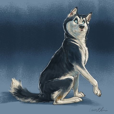 Another dog drawing today...Husky! #husky #dogs #drawing #sketch #characterdesign #conceptart #photoshop #animals #animalartists Drawing Husky, Photoshop Animals, Husky Art, Husky Drawing, Dogs Drawing, Aaron Blaise, Canine Art, Wolf Dog, Dog Illustration