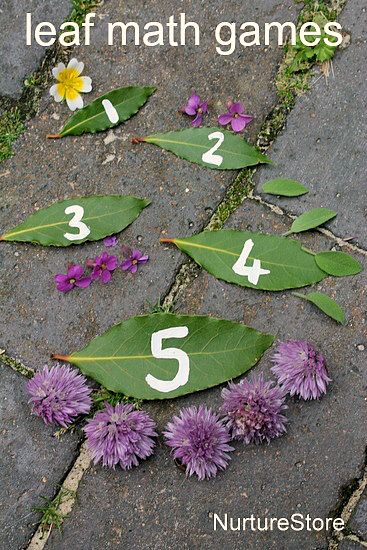 nature preschool learning activities | These simple leaf math games for preschool let you take your learning ... Stick Activities, Spring Lesson Plans, Games For Preschool, Outdoor Learning Activities, Spring Lessons, Forest School Activities, Nature School, Outdoor Education, Outdoor Classroom