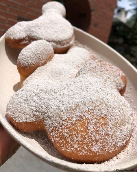 Annual Passholders Can Get Free Mickey Beignets in Disney World?!? Here’s How To Get YOURS! Mickey Beignets, Pumpkin Creme Brulee, Disney Desserts, Disney Recipes, Disney Treats, Disney Snacks, Disney Dining Plan, Disney Food Blog, Mini Donuts