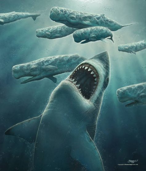 No Caption Provided Kerem Beyit, Shark Photos, Shark Pictures, Prehistoric Wildlife, Megalodon Shark, Shark Gifts, Shark Art, Scary Places, Extinct Animals