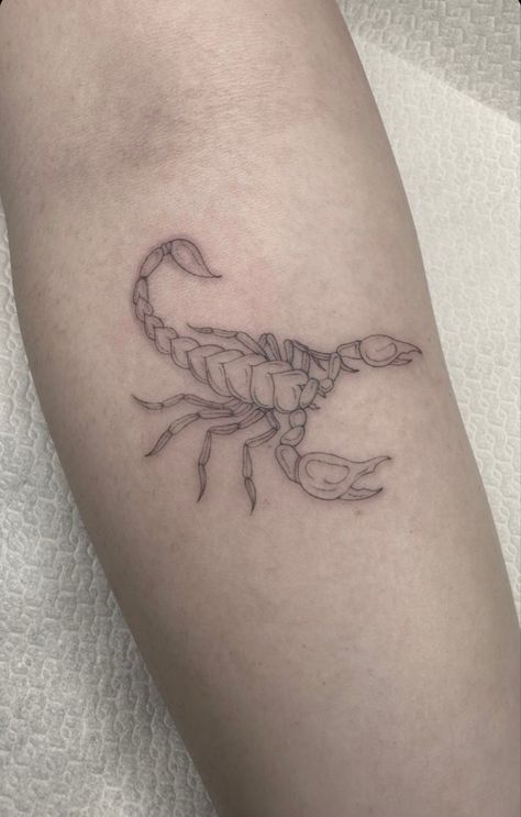 Tattoo Fine Line, Scorpio Tattoo, Fine Line Tattoos, Line Tattoos, Fine Line, Tattoos, Art