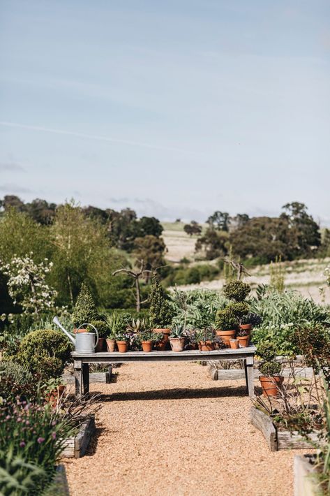 Steve Cordony's idyllic country garden at Rosedale Farm Steve Cordony, Orange Nsw, Renovation Exterior, Country Backgrounds, Cottage Renovation, Rural House, Garden Show, Country Garden, Australian Homes