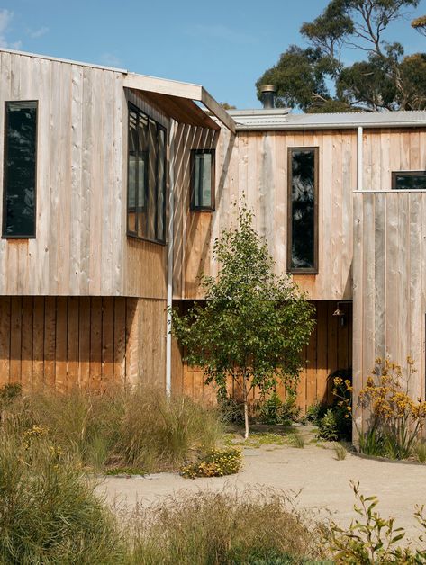 Photo 9 of 19 in A Builder Crafts His Family’s Dream Home With Reclaimed Timber and Brick - Dwell Cypress House, Fireplace Heat, Cypress Wood, Mornington Peninsula, Australian Architecture, Reclaimed Timber, House Building, Wood Siding, Interior Garden