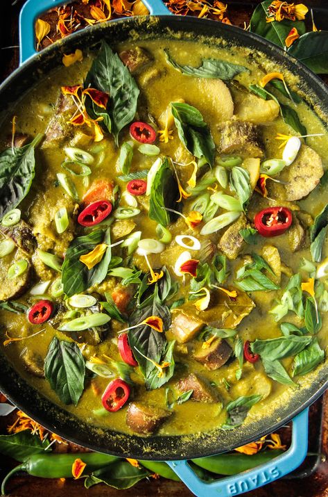 Green Thai Curry with Vegetables - Heather Christo Green Curry Vegetarian, Curry With Vegetables, Green Thai Curry, Green Curry Sauce, Vegetarian Thai, Green Thai, Thai Green Curry, Asian Inspired Dishes, Vegetarian Meal