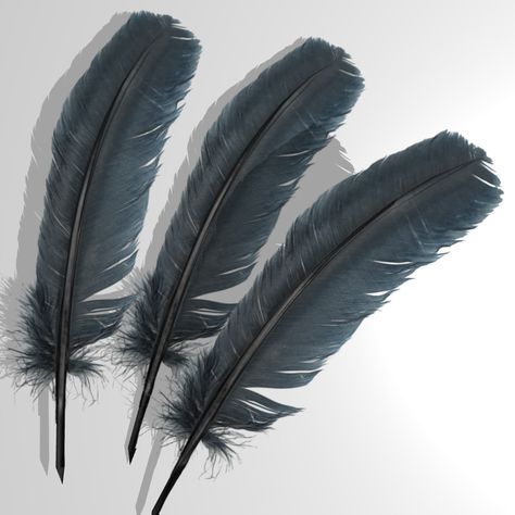 Crow Feather Crow Feathers Aesthetic, Crow Feather Drawing, Black Feather Aesthetic, Feather Reference, Crow Wings, Crow Feathers, Raven Feathers, Pyramid Model, 3d Pyramid